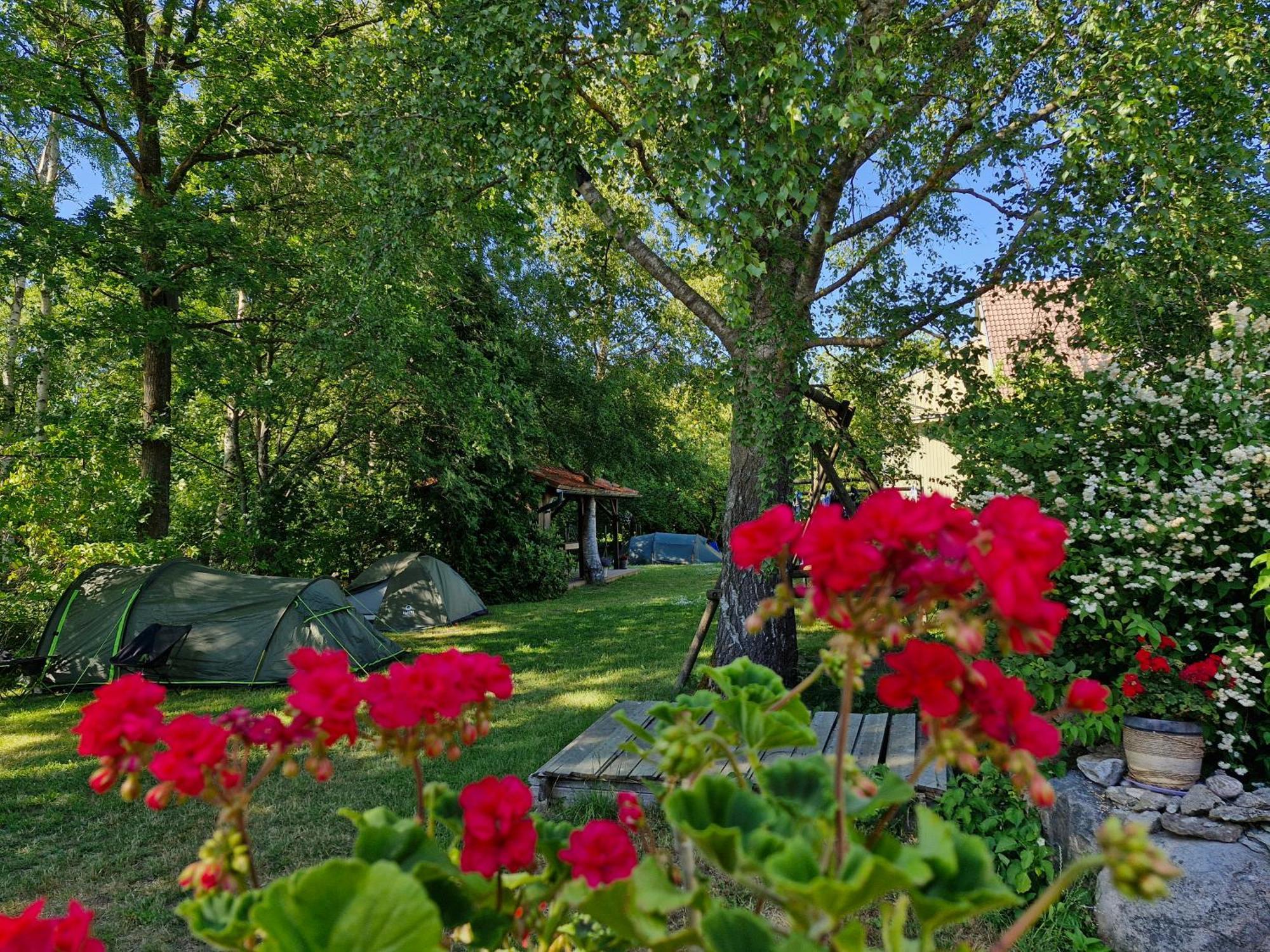Piibelehe Guest Accommodation Kuressaare Exterior photo